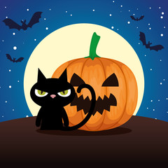 halloween black cat and pumpkin on night