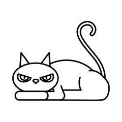 halloween black cat character