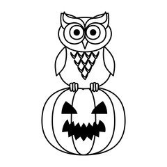 happy halloween owl with pumpkin
