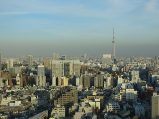 Fototapeta na wymiar 文京シビックセンター展望ラウンジからの眺め（東京スカイツリー方向）