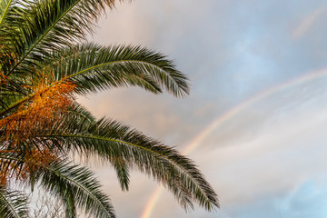 Rainbow Sunrise and Cloudscape at San Marco di Castellabate Italy