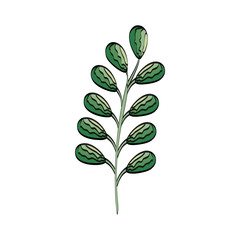 branch with leafs icon