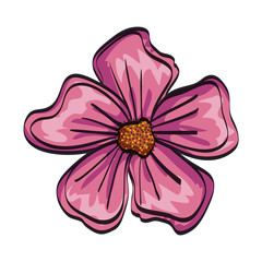 beautiful flower isolated icon