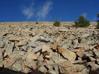 Piles of rocks with a few small trees growing up near the summit of Pikes Peak, Manitou Springs, Colorado 