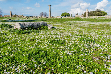 Paestum Greco Roman Ruins Italy