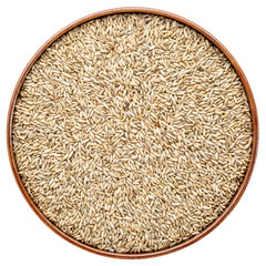 organic rye berries in round tray