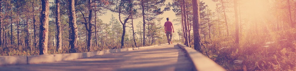 Man walking on wooden walkway in nature. Human silhouette in the morning