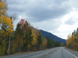 Scenic drives along the roads in Colorado during autumn Colorado, USA