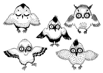 Birds in nature doodle set, collection of animals.