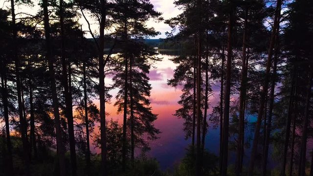 Drone shot of trees near lakeside during sunset, Nurmes, Finland