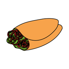 delicious mexican burrito icon
