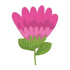 beautiful flower isolated icon