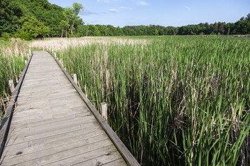 Lake Elmo Park Reserve