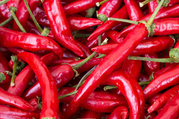 REDhot chili pepper