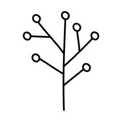branch with seeds icon