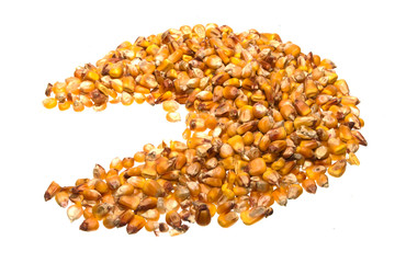 corn isolated on white background