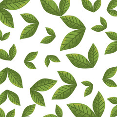 leafs plants ecology pattern background