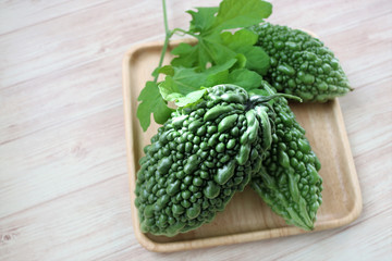 採れたてのゴーヤ