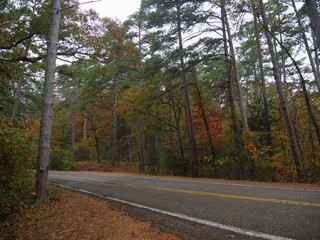Obraz premium Colorful scenery at the Talimena scenic drive, one of the most popular attractions in Oklahoma at the LeFlore County during autumn season.