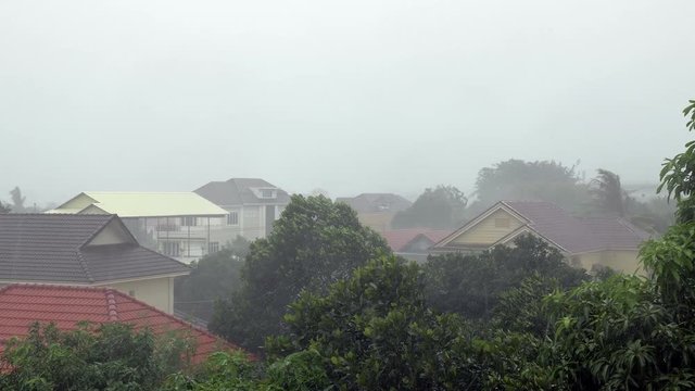 Tropical storm with torrential rain, high winds blowing trees and houses over