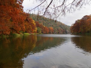 Wide shot of the Mountain Forks River at the Beavers Bend State Parks in Broken Bow, Oklahoma with colorful foliage in autumn