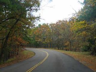Fototapeta premium Paved twisting road Beaver’s Bend State Park with the leaves of the trees in full autumn colors