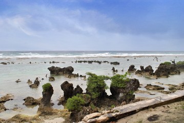 Fototapeta na wymiar Scenic coastline showing rocks and corals jutting out with green plants in a tropical island