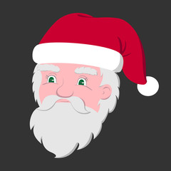 SANTA CLAUS face. Vector illustration..
