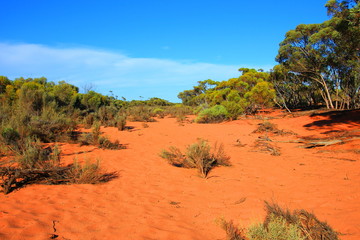 Remote Australian outback
