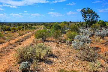 Endless outback roads in Australia