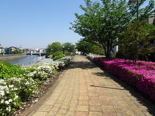 川沿いの遊歩道