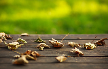 Autumn background of dried yellow leaves on old wooden table on green