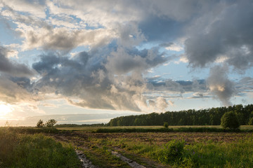 Fototapeta na wymiar beautiful big clouds/ Clouds at sunset in a field after a rain