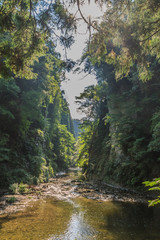 Obraz premium 夏の養老渓谷の弘文洞跡の風景