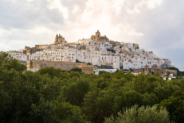 Fototapeta na wymiar Skyline of Ostuni, the white city of Puglia