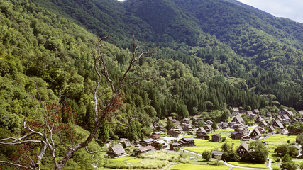 Shirakawa - Go /Japan - August 21 2018:  Historic Villages of Shirakawa-gō and Gokayama are one of Japan's UNESCO World Heritage Sites.