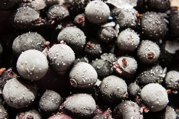 frozen berries