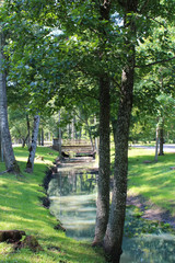 Sulfur spring water in Kemeri National Park