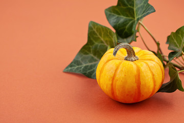 Pumpkins and leaves over color paper background copy space. Mockup fall harvest thanksgiving halloween invitation cards. Top view autumn composition.