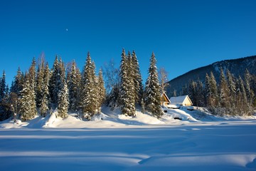 Taiga Hut