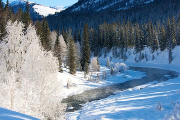 River in winter