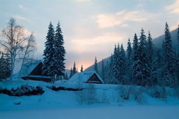 Taiga Hut