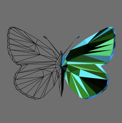 Butterfly polygonal low poly wireframe isolated on grey background,vector illustration. Insect with geometry triangle.Suitable for printing on a t-shirt.Abstract butterfly of green and blue colors.