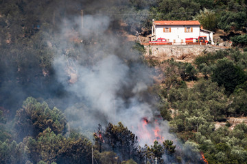 Wildfire close to houses in the forest