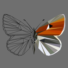Butterfly polygonal low poly wireframe isolated on grey background,vector illustration. Insect with geometry triangle.Suitable for printing on a t-shirt.Abstract butterfly of grey and orange colors.