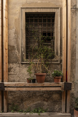 Fototapeta na wymiar Vecchia finestra