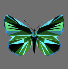 Butterfly polygonal low poly isolated on grey background,symmetrical vector illustration. Insect with geometry triangle. Suitable for printing on a t-shirt.Abstract butterfly of blue and green colors.