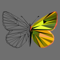 Butterfly polygonal low poly wireframe isolated on grey background,vector illustration. Insect with geometry triangle. Abstract butterfly of yellow, green and orange colors.