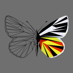 Butterfly polygonal low poly wireframe isolated on grey background,vector illustration. Insect with geometry triangle.Suitable for printing on a t-shirt.Abstract butterfly of black and yellow colors.