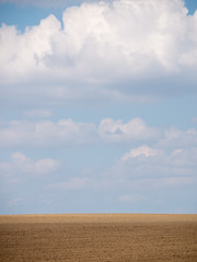 Fototapeta na wymiar Blue sky over the plowed field. Field after plowing.